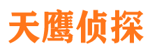 东山市调查公司